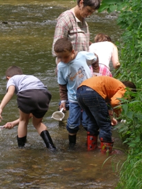 Pêche aux invertébrés